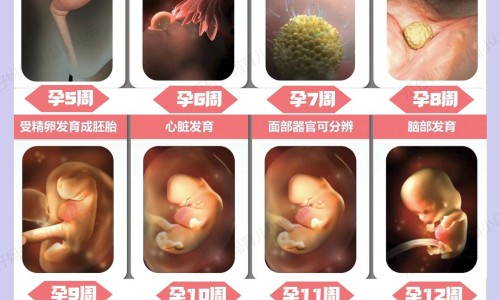 营养包网 - 为你提供营养包怎么吃、营养包能和奶粉一起冲着喝吗
