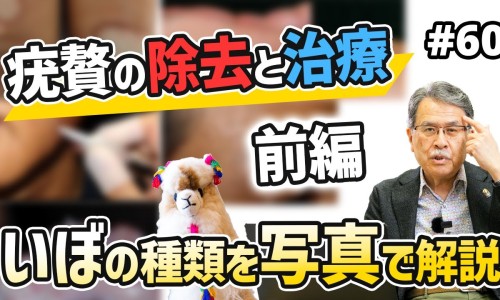 营养包的功效与作用-营养包网 - 为你提供营养包怎么吃、营养包能和奶粉一起冲着喝吗